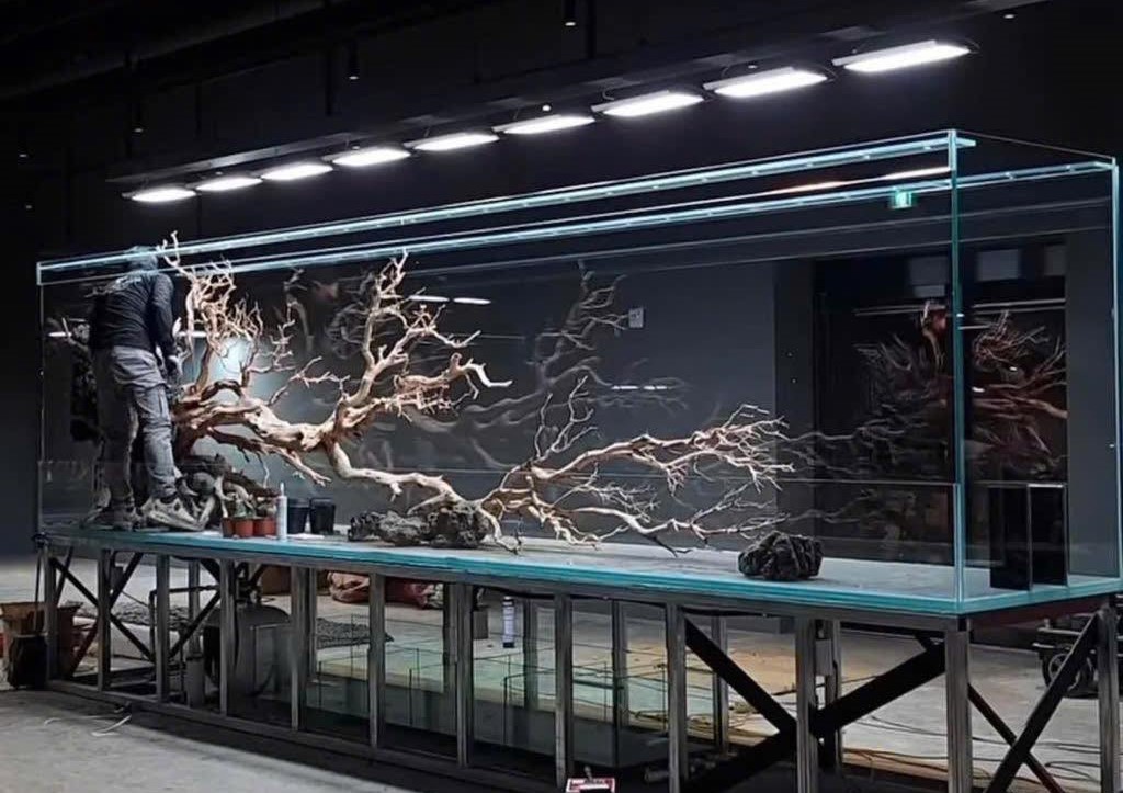 Thiết kế bể cá Relax Aquarium