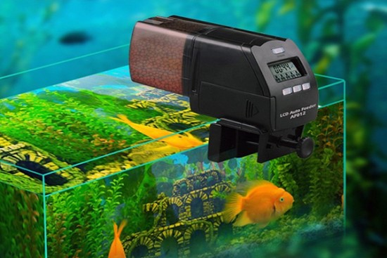 Máy Cho Cá Ăn Tự Động