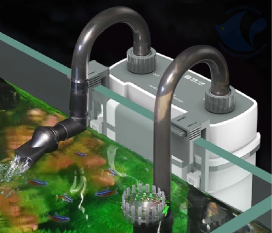 Máy Lọc Treo (Hang-On-Back - HOB)