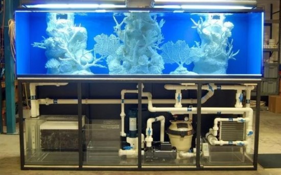 Máy lọc tràn dưới (Sump Filter / Bottom Overflow Filter)