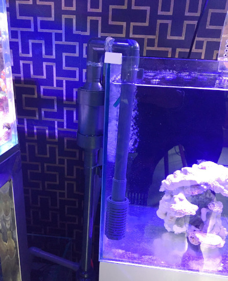máy lọc tràn trên (top overflow filter)