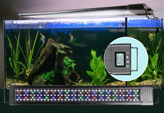 ứng dụng điều khiển từ xa