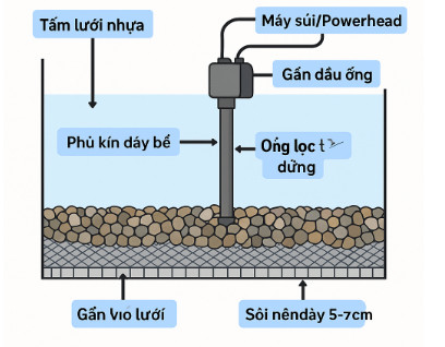 Cấu tạo hệ thống lọc với Lọc Đáy (Undergravel Filter – UGF)
