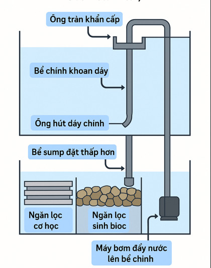 Cấu tạo hệ thống lọc với Lọc Tràn Dưới 