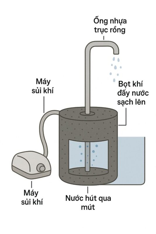 Cấu tạo hệ thống lọc với Máy Lọc Mút (Sponge Filter)
