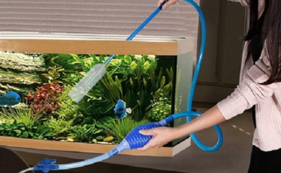 Chuẩn Bị Bể & Môi Trường Nước bể cá