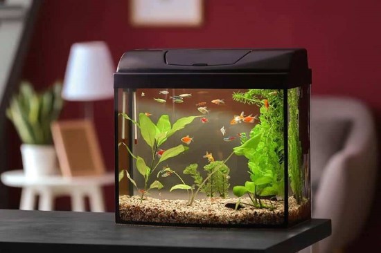 Khả Năng Chống Va Đập của bể cá