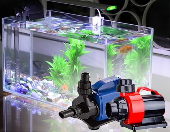 Máy Bơm (Pump/Động Cơ) bể cá