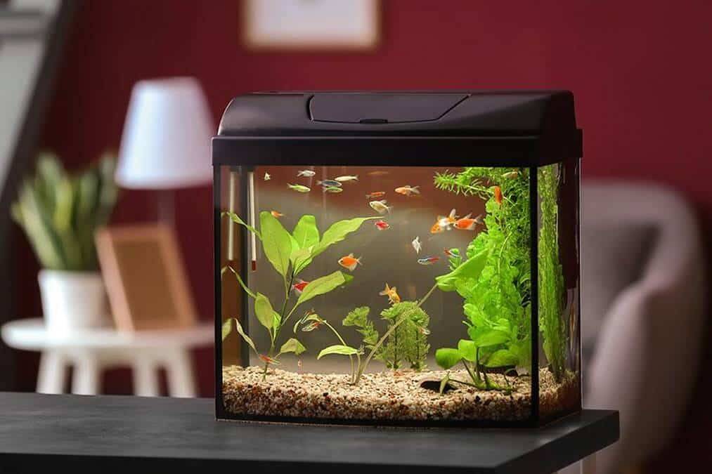 nắp đậy bể cá đúc